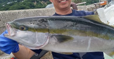 7月12日  ブリがきた